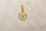 Zodiac Charm